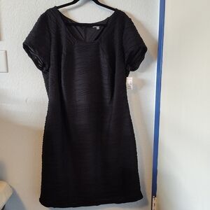 Women's Black Roz & Ali Black Dress Size 22W